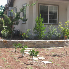 editble front yard