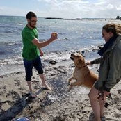 Vanessa Rolletschek's photo