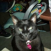 Susan Olson's photo