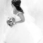 Tracy Mohrman's photo
