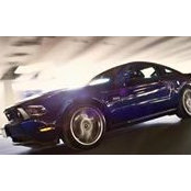 Brian Tonello's photo