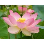 Kelsey Francoeur's photo