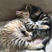 Jenny Nikolova's photo
