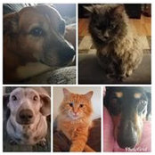 Amanda Berkley's photo