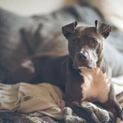 Kim Krause's photo