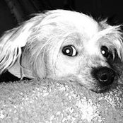 Mike Cummins's photo