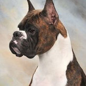 Dana Penney's photo