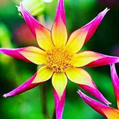 Debbie Wilkison's photo