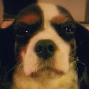 Lucy Burke's photo