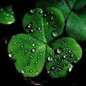 Barbara Pitcher's photo