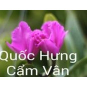 Huyết Long's photo