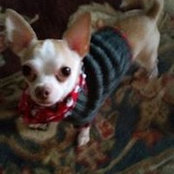 Lisa Taber's photo