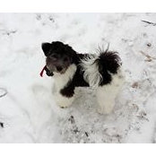 Barbara Brooker's photo