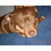 Tami Blosser's photo