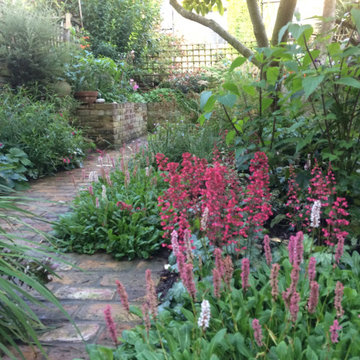 Plant Filled Hackney Garden
