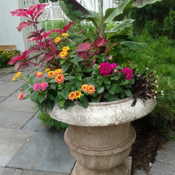 Fabulous Container Gardens