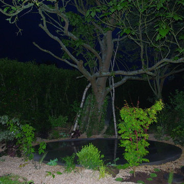 quelques photos