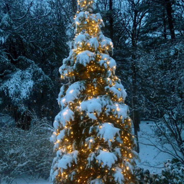 Christmas Decorations and Outdoor Lights