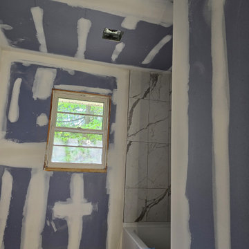 Mickeys Bathroom