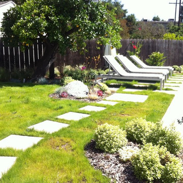 Back yard dry tolerant landscape. garage conversion