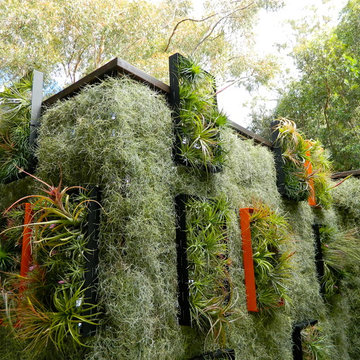 Rustic Canyon