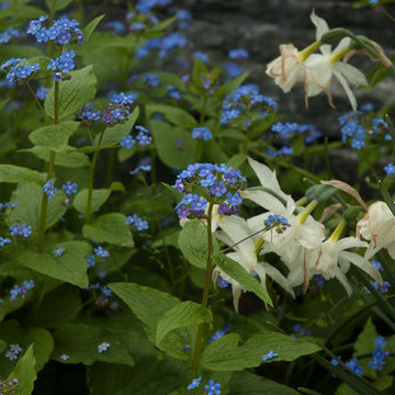 Hillside Garden--A hidden gem