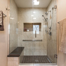 Shower Handrail