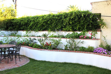 Photo of a traditional garden in Los Angeles.