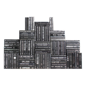 Modern Onyx & Silver Book Wall, Set of 100