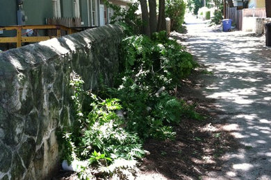 Design ideas for a traditional landscaping in Austin.