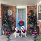 Kimber Adeline's photo