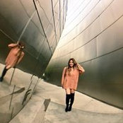 Tracy Joyces foto