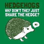 Megan Milanich's photo