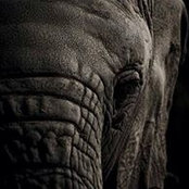 Alvin Scott's photo