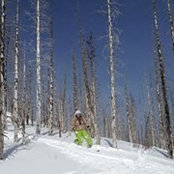 Meryl Storb's photo