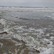 Dawn Hoffman's photo