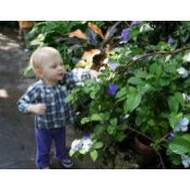 Heather Kime's photo