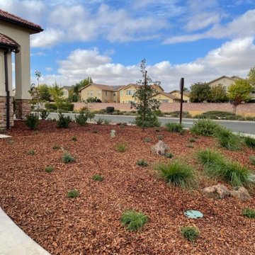 Anatolia front yard makeover