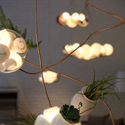 Lighting - Products
