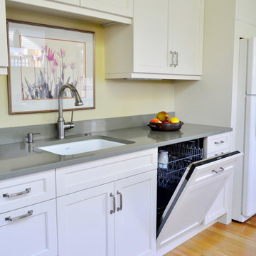 Seattle Transitional Kitchen