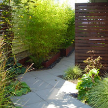 backyard privacy