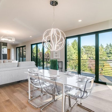 View Ridge Modern