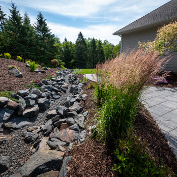 Residential Backyard Oasis