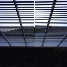 Shades / Curtain