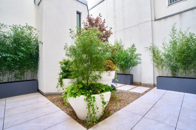 Design ideas for a small contemporary shade courtyard stone landscaping in New York for fall.