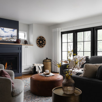 Burroughs + Indy//Living Room, Basement, Bedroom, Home Office, Kitchen, Sunroom