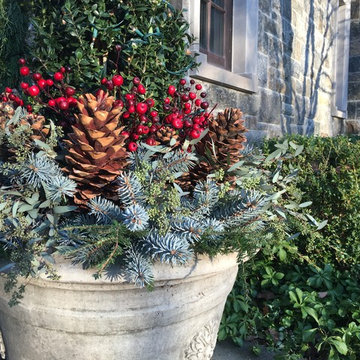 2015 Holiday Containers