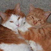 Nellie Baker Stevens's photo