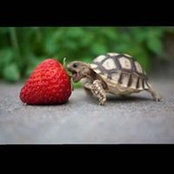 Doree Garner's photo