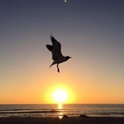Karen Maher's photo